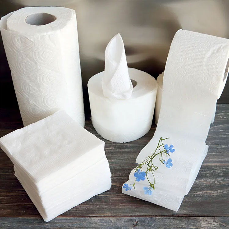 Welke invloed heeft toiletpapier op de dagelijkse hygiëne en het comfort? Welke invloed heeft toiletpapier op de dagelijkse hygiëne en het comfort?